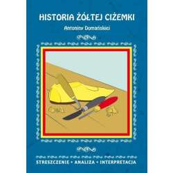 Streszczenia - Historia żółtej ciżemki LITERAT