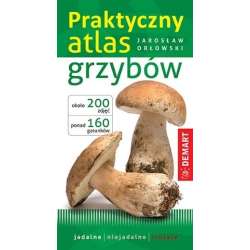 Praktyczny atlas grzybów - 1