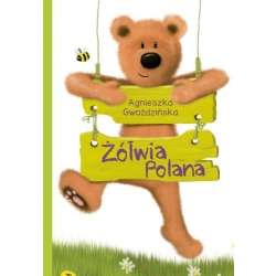 Żółwia Polana - 1