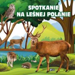 Spotkanie na leśnej polanie FENIX - 1