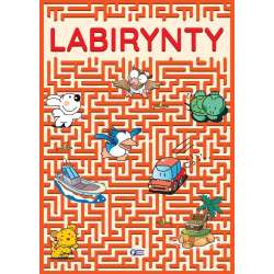 Labirynty