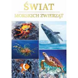 Świat morskich zwierząt