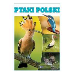 Ptaki Polski - 1