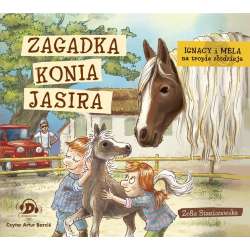 Ignacy i Mela na tropie złodzieja audiobook