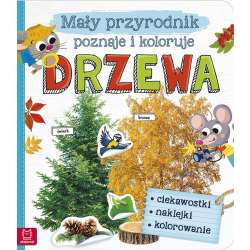 Mały przyrodnik poznaje i koloruje. Drzewa (9788381065122) - 1