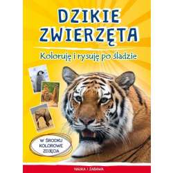 Dzikie zwierzęta. Koloruję i rysuję po śladzie