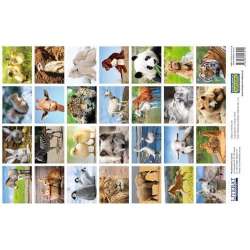 Naklejki Urocze zwierzęta 28szt