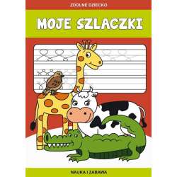 Moje szlaczki. Nauka i zabawa