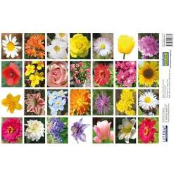 Naklejki. Kwiaty
