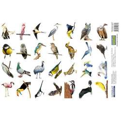 Naklejki. Ptaki