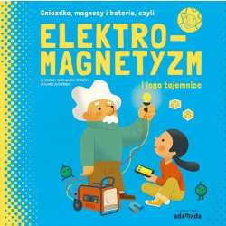 Elektromagnetyzm i jego tajemnice - 1