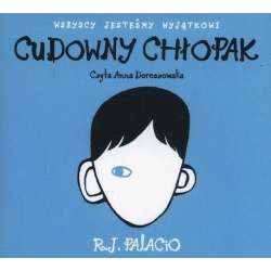 Cudowny chłopak audiobook