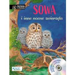 Sowa i inne nocne zwierzęta - 1