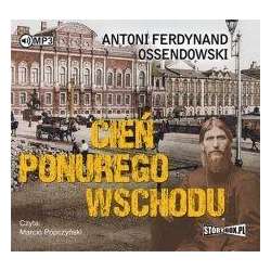 Cień ponurego Wschodu audiobook - 1