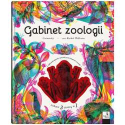 Gabinet zoologii - 1