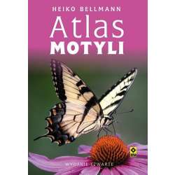 Atlas motyli w.4 - 1