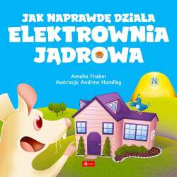 Jak naprawdę działa elektrownia jądrowa - 1