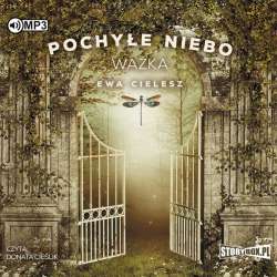 Pochyłe niebo T.3 Ważka audiobook - 1