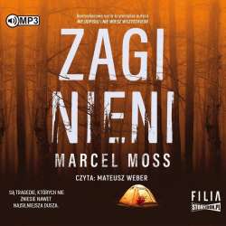 Zaginieni audiobook - 1