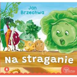 Na straganie