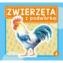 Zwierzęta z podwórka