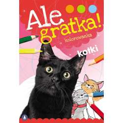 Ale gratka! Kotki - 1