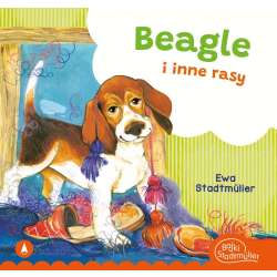 Beagle i inne rasy - 1