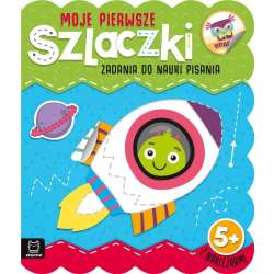 Moje pierwsze szlaczki. Zadania do nauki pisania (9788382132939)