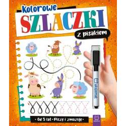 Kolorowe szlaczki z pisakiem. Piszę i zmazuję (od 5 lat) (9788382135541) - 1