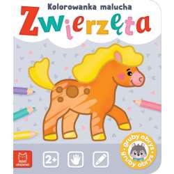 Zwierzęta. Kolorowanka malucha (9788382136814) - 1