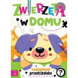 Zwierzęta w domu. Łamigłówki przedszkolaka (9788382136890)