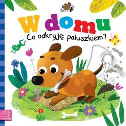 Książeczka W domu. Co odkryję paluszkiem? (9788382136951)