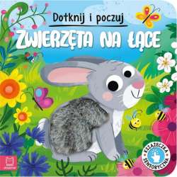 Książeczka sensoryczna Dotknij i poczuj. Zwierzęta na łące. (9788382138849) - 1