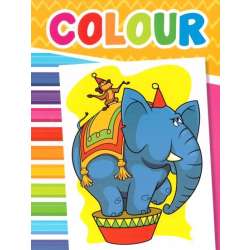 Colour Obrazki zoo - 1