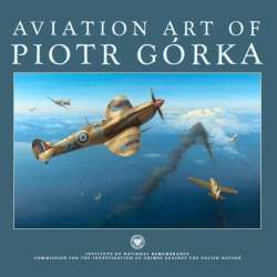 Aviation art of Piotr Górka - 1