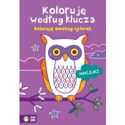 Koloruję według klucza. Koloruję według cyferek (9788382403176)
