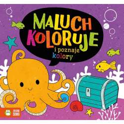 Maluch koloruje i poznaje kolory (9788382403428)