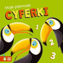 Książka Moje pierwsze cyferki (9788382404753) - 1