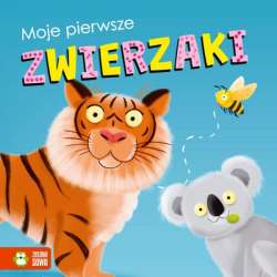 Książka Moje pierwsze zwierzaki (9788382404760)