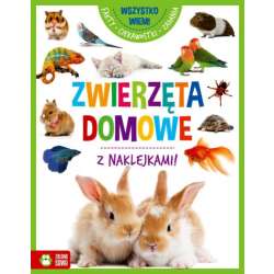 Książka Wszystko wiem! w1 Zwierzęta domowe (9788382405811)