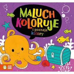 Maluch koloruje i poznaje kolory - 1