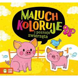 Maluch koloruje i poznaje zwierzęta