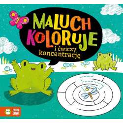 Maluch koloruje i ćwiczy koncentrację (9788382406047)