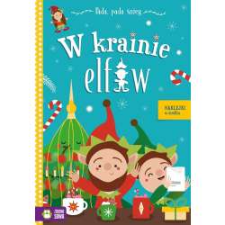 Pada, pada śnieg. W krainie elfów (9788382407945)