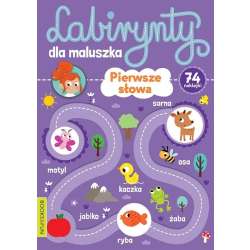 Labirynty dla maluszka. Pierwsze slowa (9788382490640)