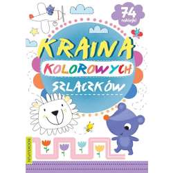 Kraina kolorowych szlaczków (9788382491579)