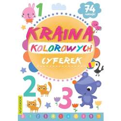 Kraina kolorowych cyferek (9788382491586)