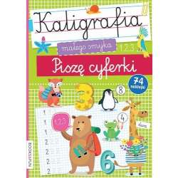 Kaligrafia Malego Smyka Pisze cyferki (9788382492583) - 1