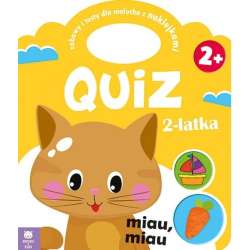 Quiz 2-latka. Kotek