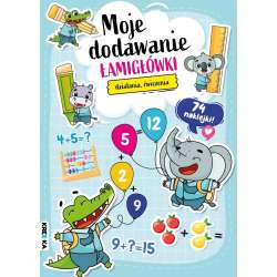 Moje dodawanie. Łamigłówki